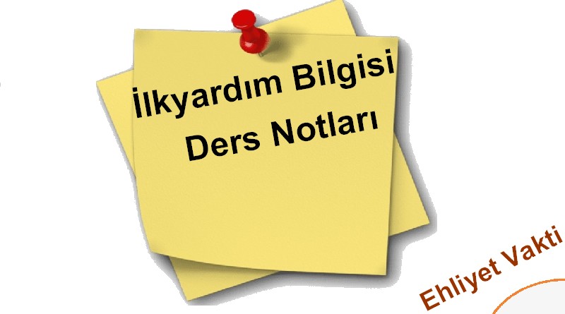 ilkyardım bilgisi ders notları ehliyet
